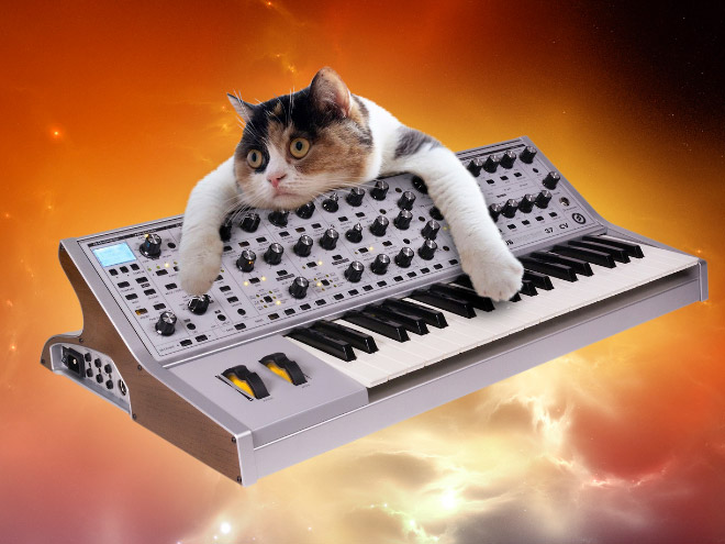 Cats On Synthesizers In Space