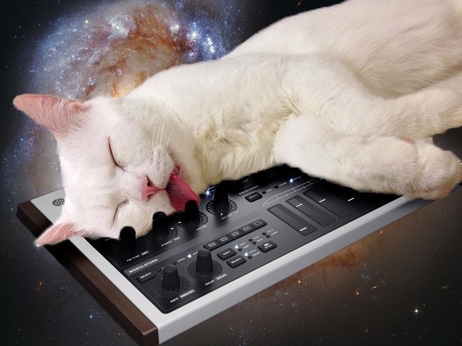 Cats On Synthesizers In Space