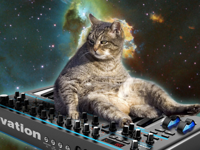 Cats On Synthesizers In Space