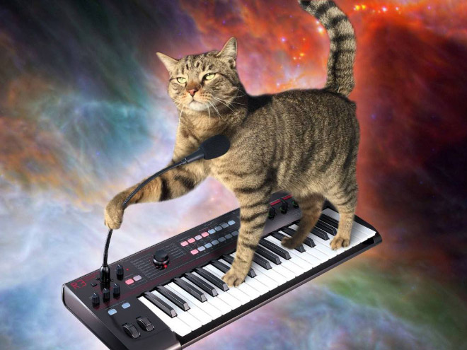 Cats On Synthesizers In Space