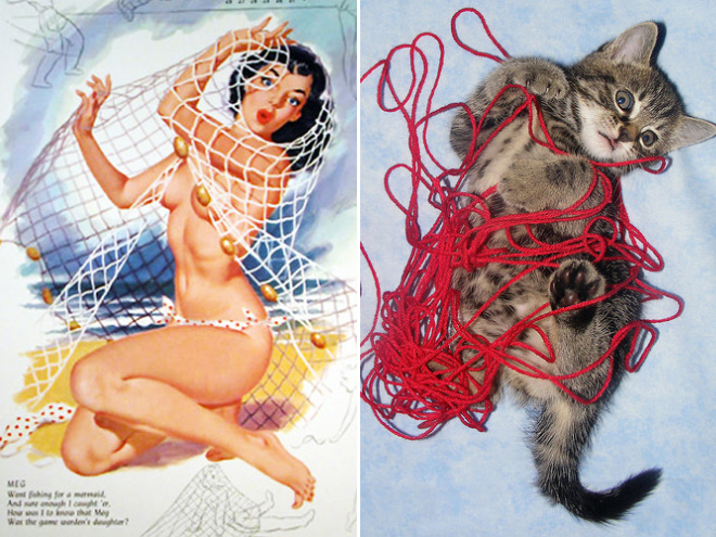 Cats Posing Like Pin-Up Girls