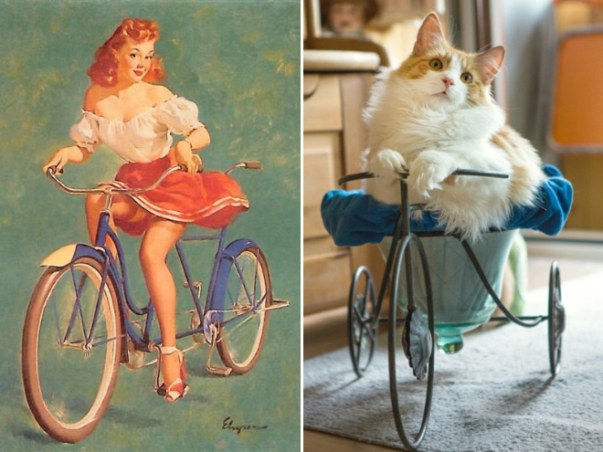Cats Posing Like Pin-Up Girls