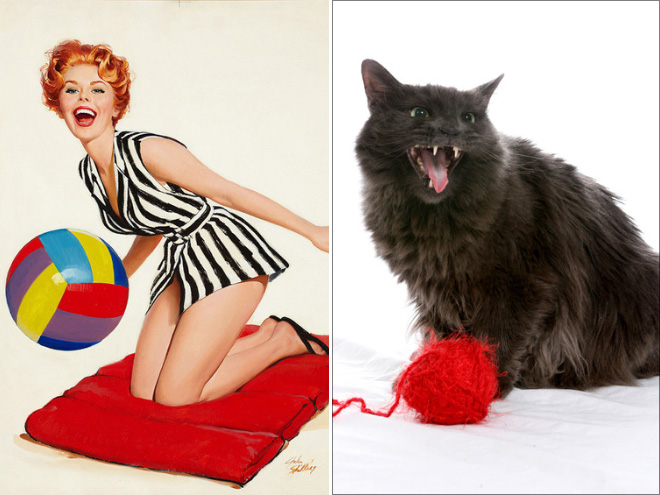 Cats Posing Like Pin-Up Girls