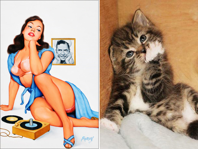Cats Posing Like Pin-Up Girls