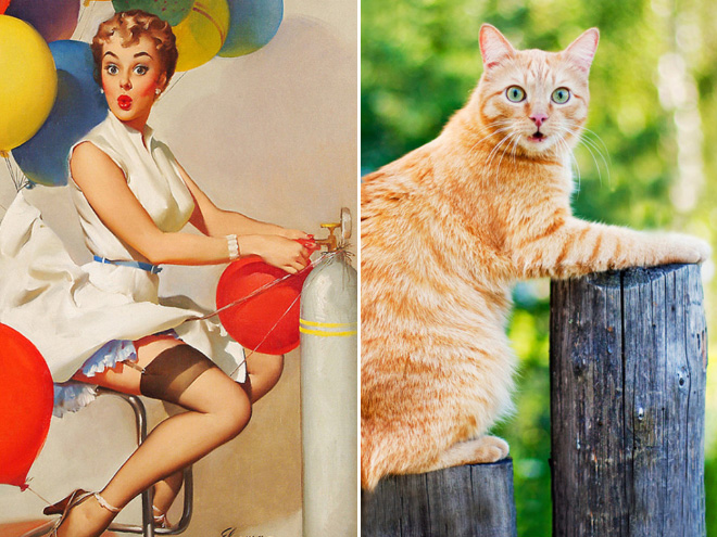Cats Posing Like Pin-Up Girls