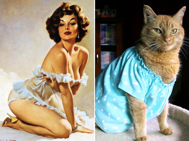 Cats Posing Like Pin-Up Girls