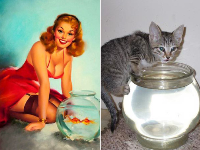 Cats Posing Like Pin-Up Girls