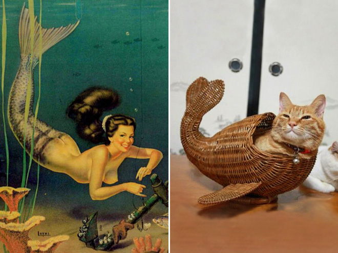 Cats Posing Like Pin-Up Girls