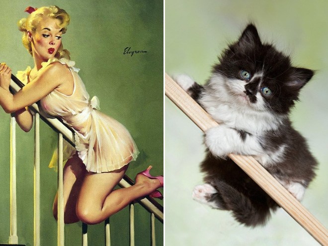 Cats Posing Like Pin-Up Girls
