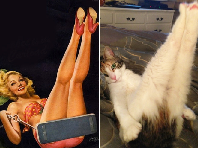 Cats Posing Like Pin-Up Girls