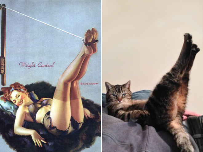 Cats Posing Like Pin-Up Girls