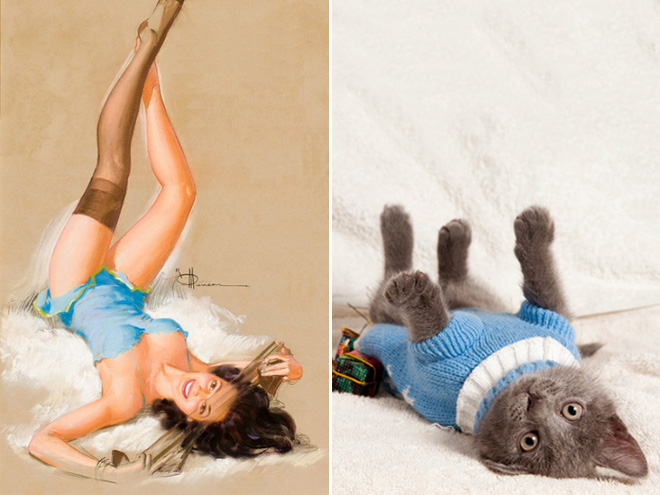 Cats Posing Like Pin-Up Girls
