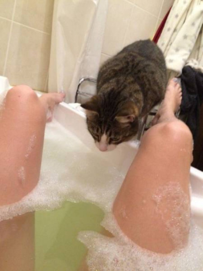 Cats Really Don’t Care About Your Privacy