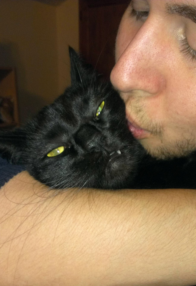 Cats That Don’t Really Want To Cuddle Right Now