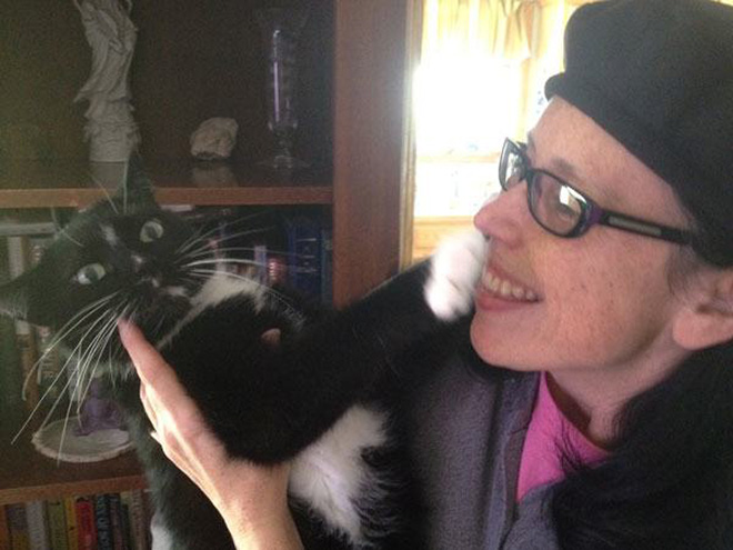 Cats That Don’t Really Want To Cuddle Right Now