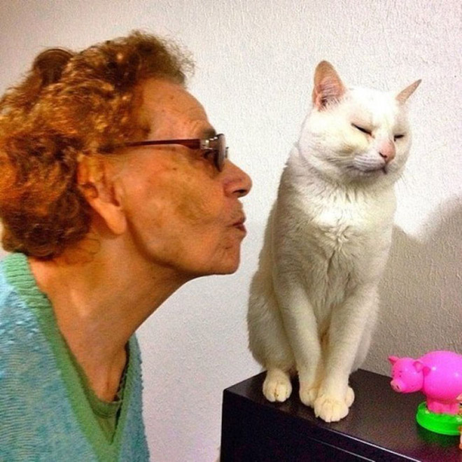 Cats That Don’t Really Want To Cuddle Right Now