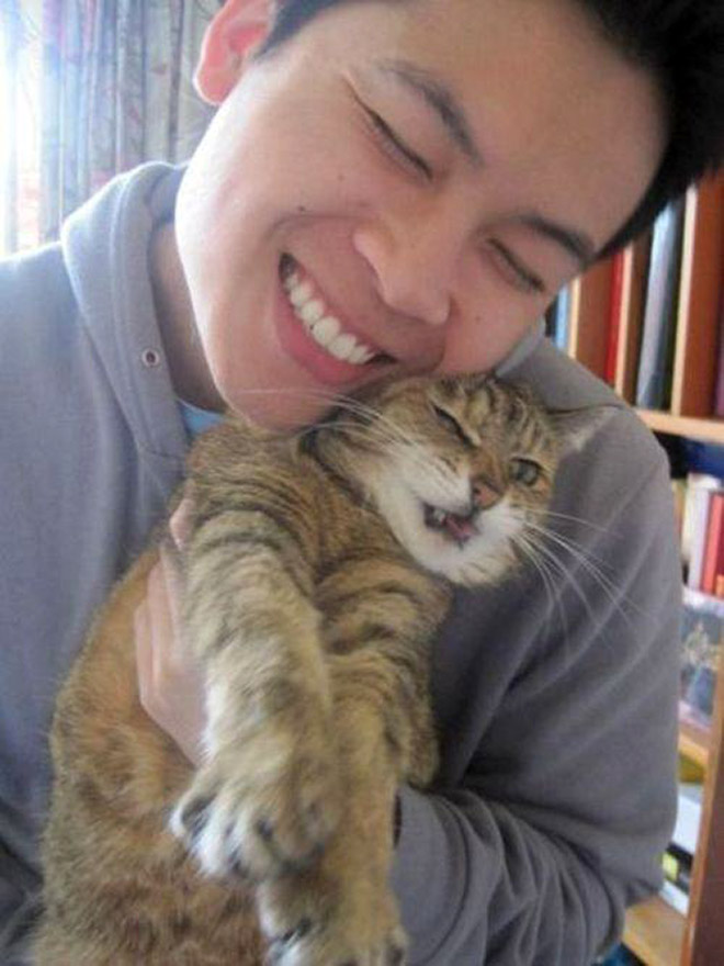 Cats That Don’t Really Want To Cuddle Right Now