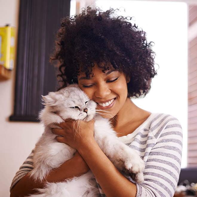 Cats That Don’t Really Want To Cuddle Right Now