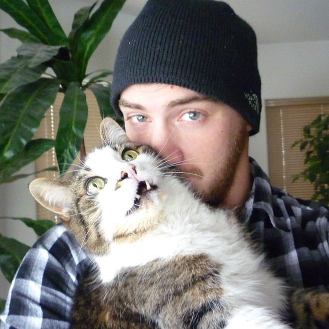 Cats That Don’t Really Want To Cuddle Right Now
