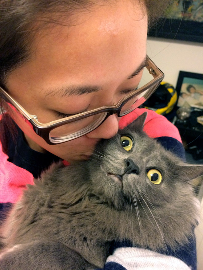 Cats That Don’t Really Want To Cuddle Right Now