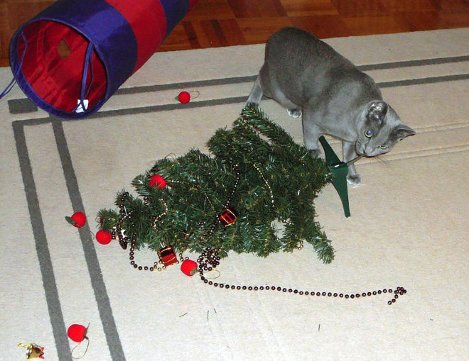 Cats vs. Christmas Trees