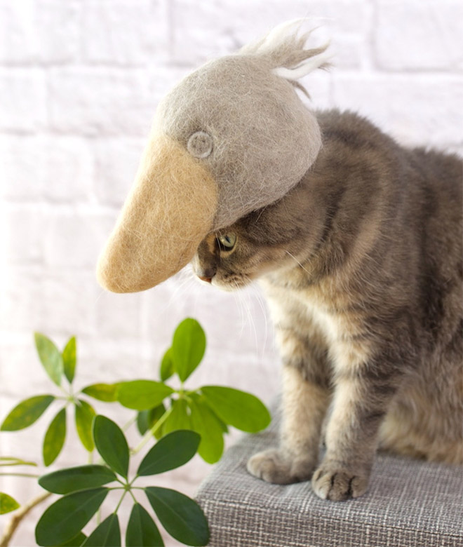 Cats Wearing Hats Made From Their Own Hair