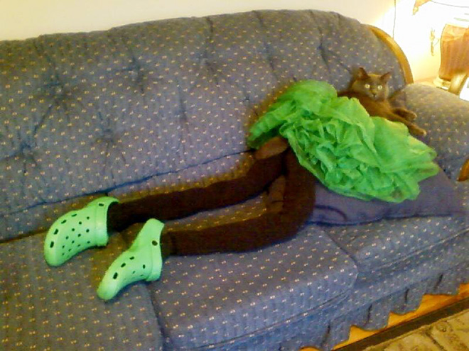 Cats Wearing Tights
