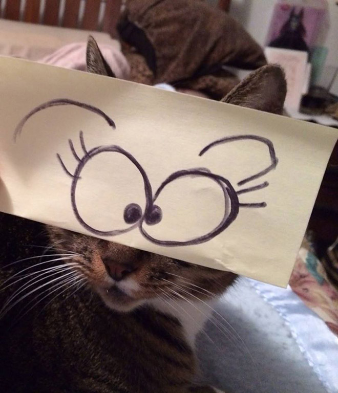 Cats With Cartoon Eyes
