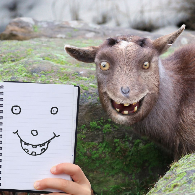 Dad Continues to Recreate Son’s Drawings Into Hilarious Real-Life Counterparts