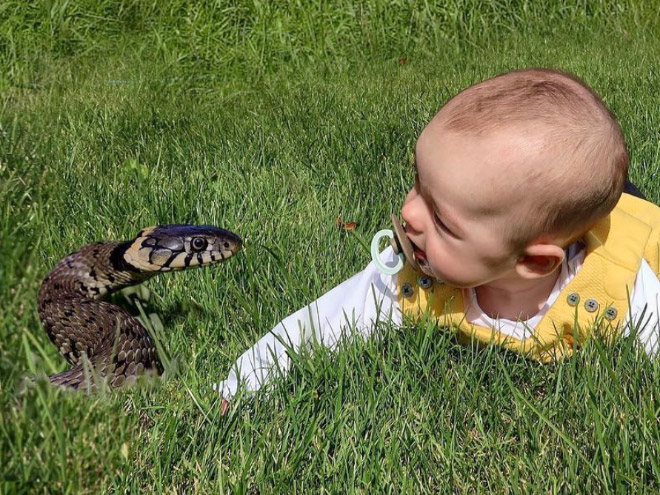 Dad Photoshops Baby Into Dangerous Situations To Freak Out Relatives