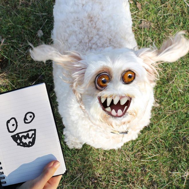 Dad Spends Quarantine Recreating Son’s Drawings Into Hilarious Real-Life Counterparts