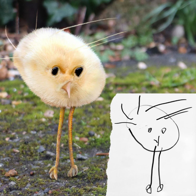 Dad Spends Quarantine Recreating Son’s Drawings Into Hilarious Real-Life Counterparts