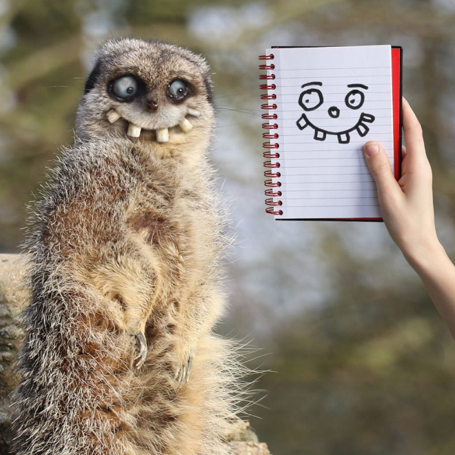 Dad Spends Quarantine Recreating Son’s Drawings Into Hilarious Real-Life Counterparts