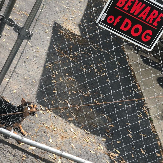 Dangerous Dogs Behind “Beware of Dog” Signs