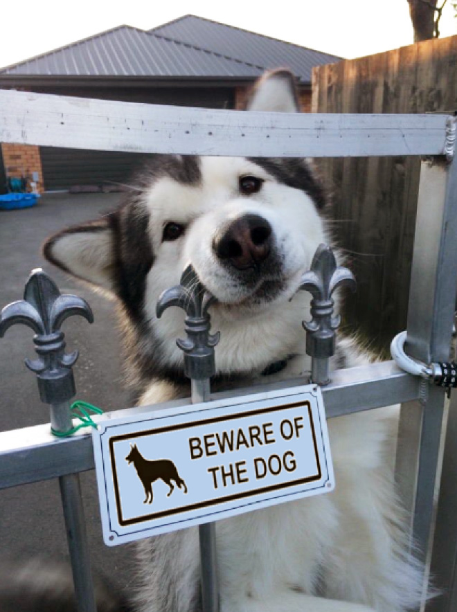 Dangerous Dogs Behind “Beware of Dog” Signs