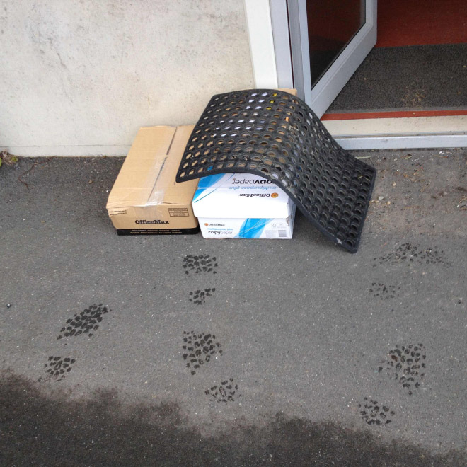 Deliveries Surge During Quarantine, This Is How Delivery Guys “Hide” Packages