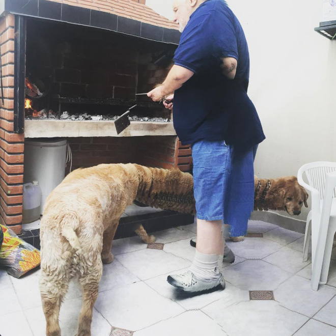 Dog Panoramic Photos Gone Hilariously Wrong