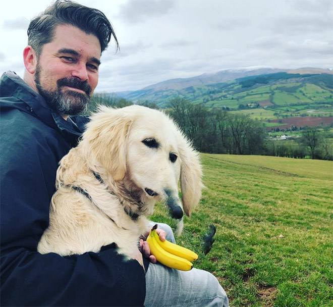 Dog Panoramic Photos Gone Hilariously Wrong