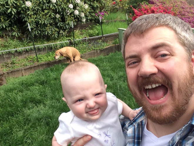 Dogs Hilariously Photobombing Perfect Shots