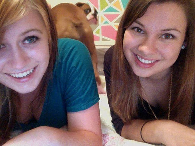 Dogs Hilariously Photobombing Perfect Shots