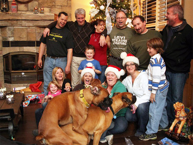 Dogs Hilariously Photobombing Perfect Shots