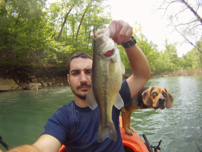 Dogs Hilariously Photobombing Perfect Shots