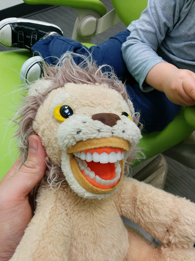 Educational Dentist Toys Are Terrifying