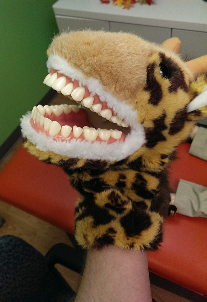 Educational Dentist Toys Are Terrifying