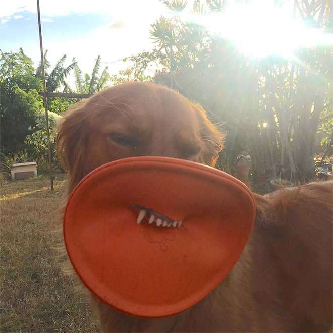 Frisbee Lips