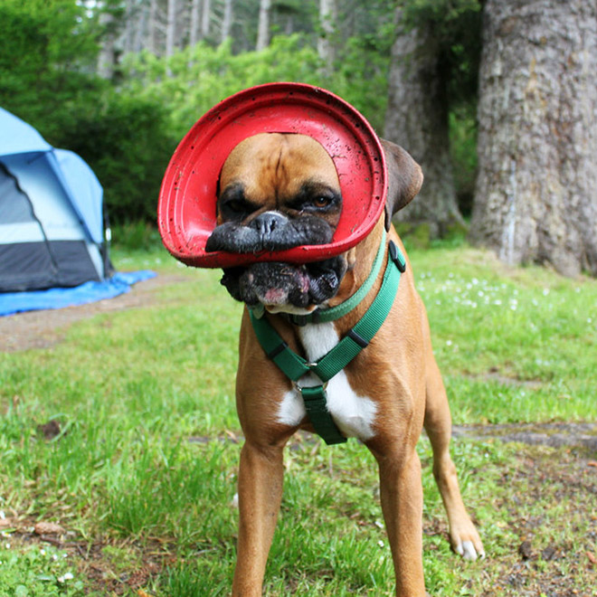 Frisbee Lips