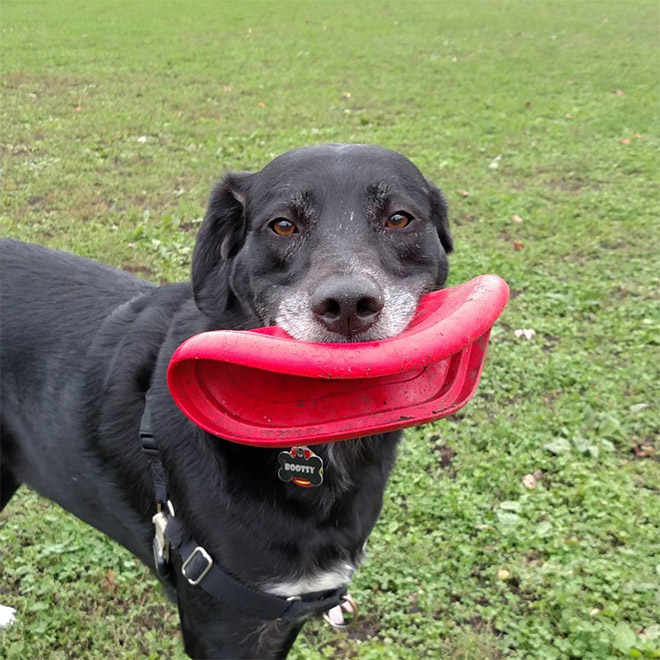 Frisbee Lips