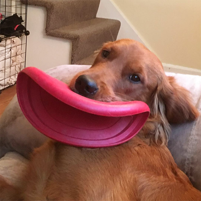 Frisbee Lips