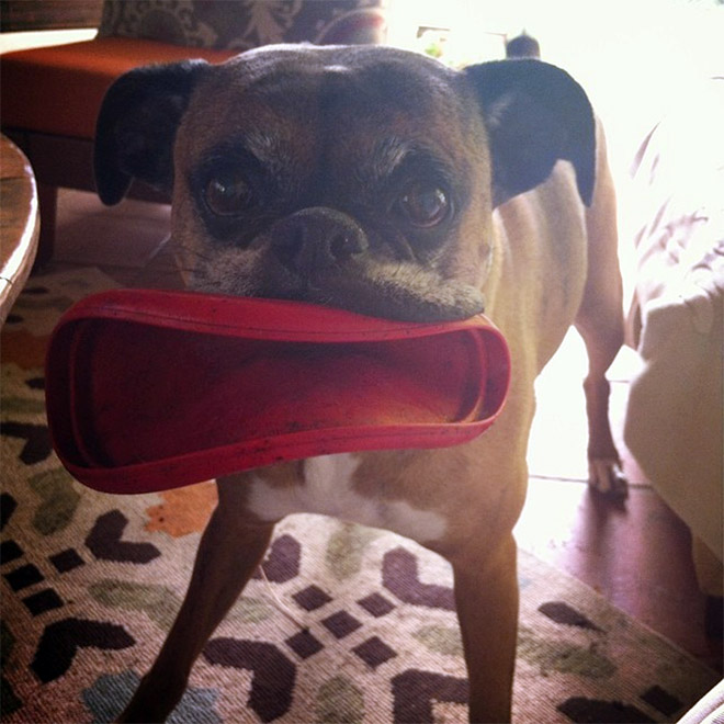 Frisbee Lips