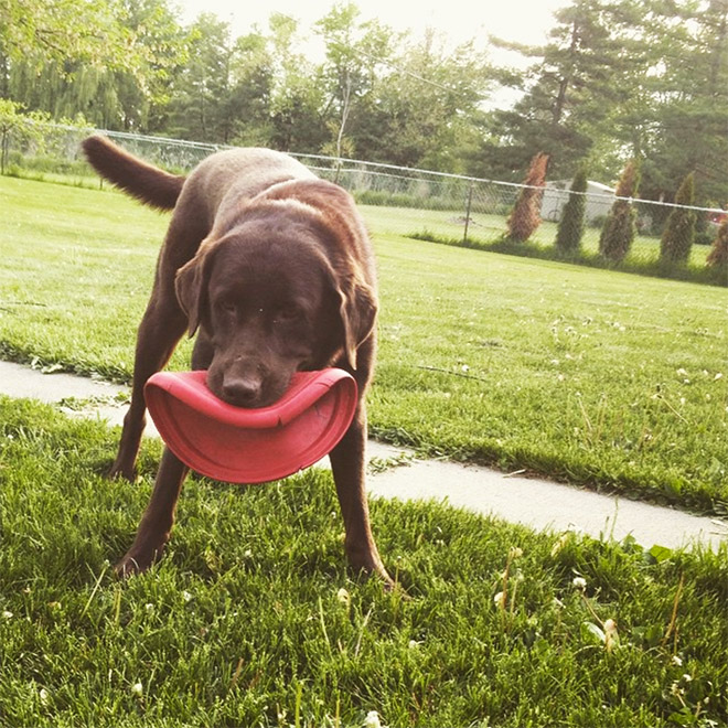 Frisbee Lips
